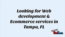 Web development & Ecommerce services in Tampa & FL