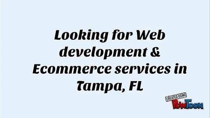 Web development & Ecommerce services in Tampa & FL