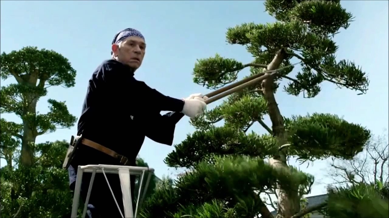 ペッパーのホームステイ