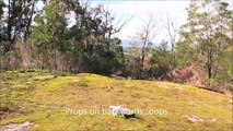 Quadcopters at Mt cannibal