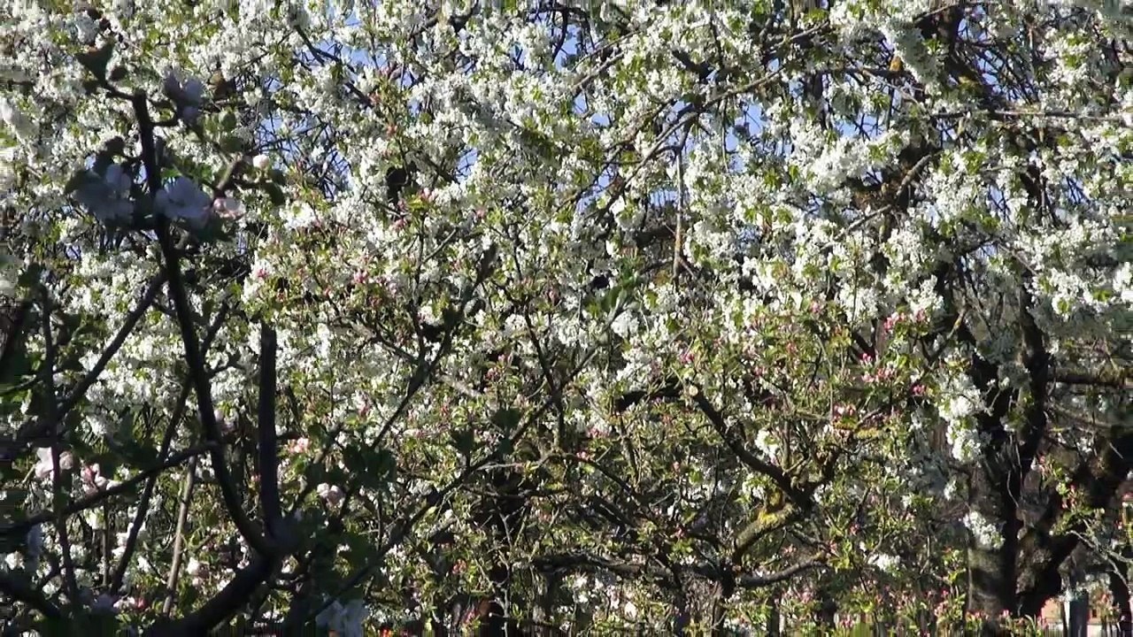 CEP Société naturelle ou artificielle  La liberté des hommes rend-elle leurs Cités plus naturelles Abbé Philippe Toulza