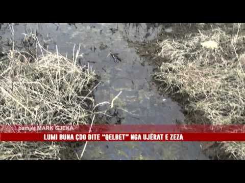 LUMI BUNA ÇDO DITË “QELBET” NGA UJËRAT E ZEZA