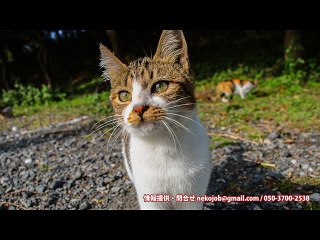 デリヘル代は稼げるか？