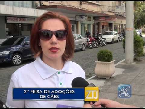 31-07-2015 - FEIRA DE ADOÇÕES - ZOOM TV JORNAL