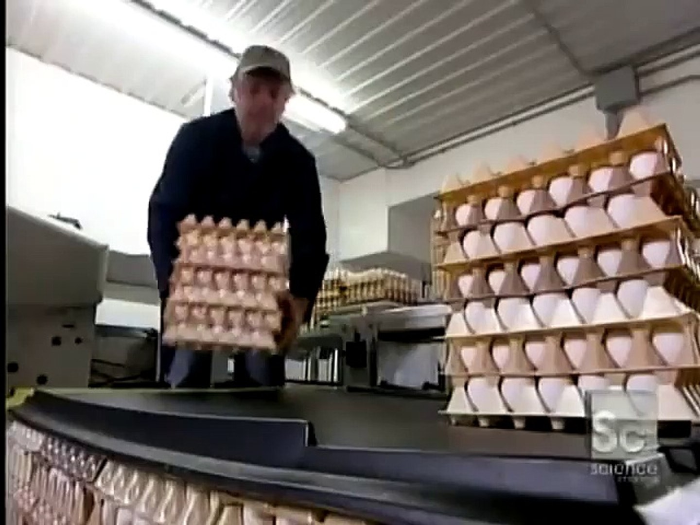 Disney Surprise Eggs Disney Surprises