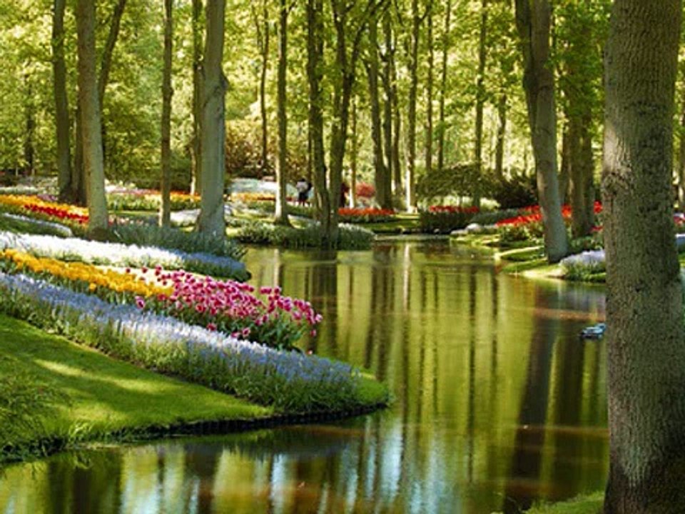 los armadillos de la sierra  los gardines del eden