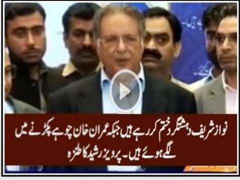 Pervez Rasheed Taunts Imran Khan on Rat Campaign