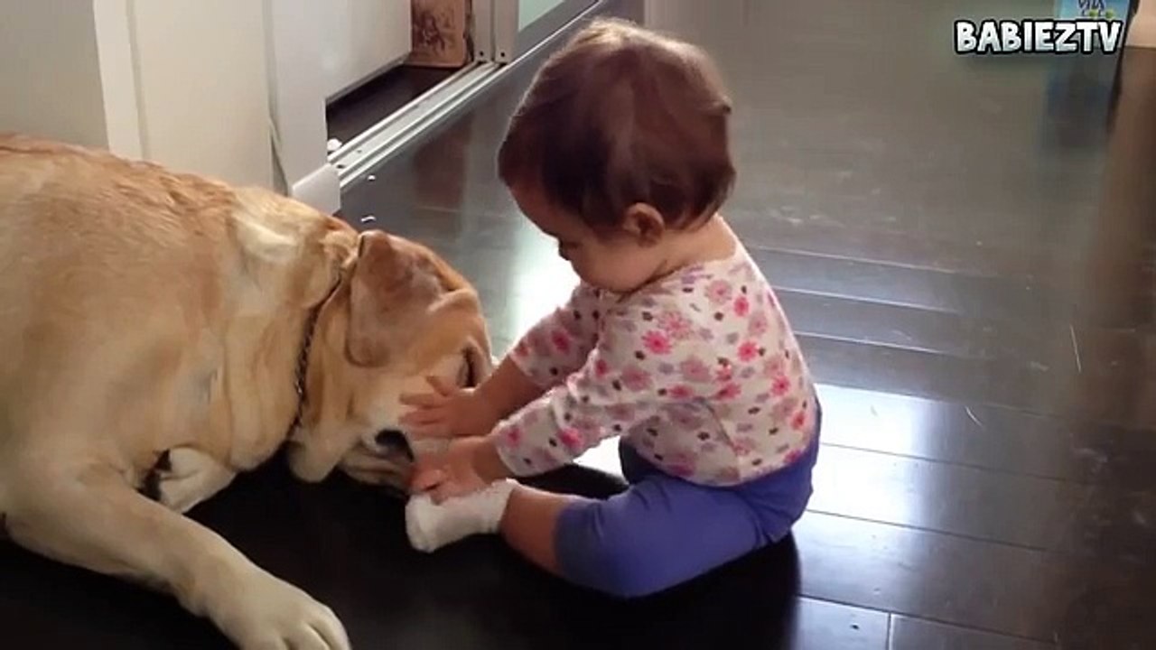 baby and dog