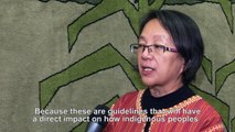 UN Special Rapporteur Victoria Corpuz gives insights on how FAO can support indigenous peoples