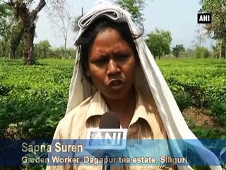 Tea estate workers threaten to boycott WB polls