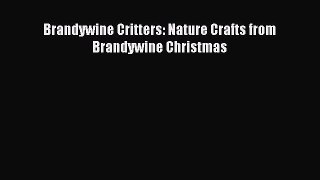 Read Brandywine Critters: Nature Crafts from Brandywine Christmas Ebook Online