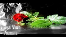 Said Omar Live(نه دل مفتون دلبندی )Edited By׃Nasir Naziri Bahar Video