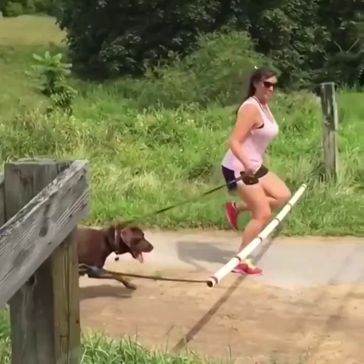 Best Fails Collection