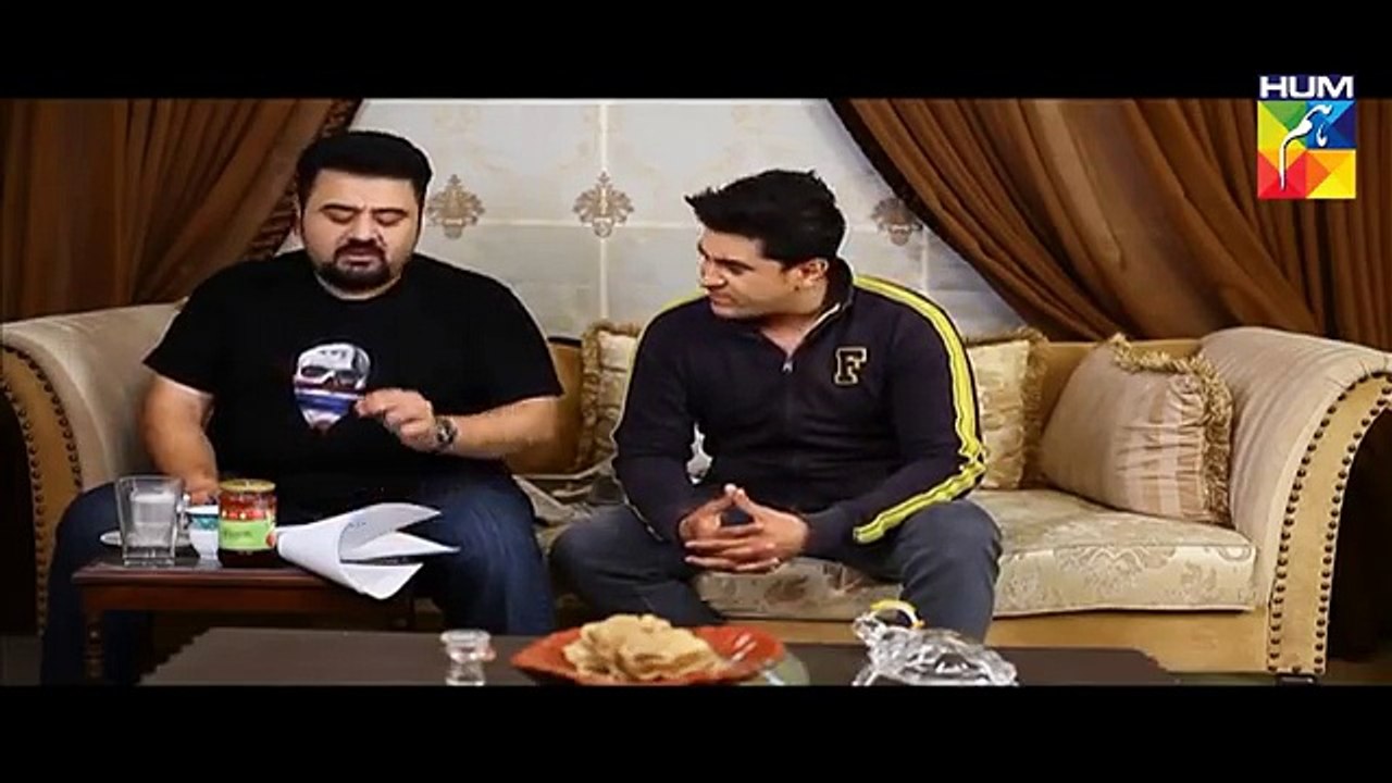 Mr Shamim Episode 54 Full Hum TV Drama 2 April 2016