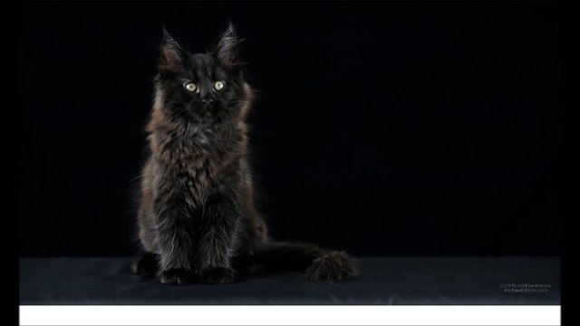 부산출장안마 010-2151-7309 출장안마 전지역 가능