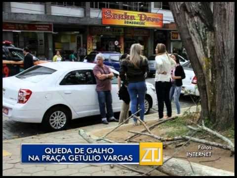0207-2015 - QUEDA DE ÁRVORE PRAÇA GETÚLIO VARGAS - ZOOM TV JORNAL