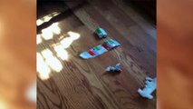 Dog Eats Christmas Stickers - Funny Animals Channel