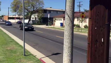 The Chilling Mystery of the Black Dahlia