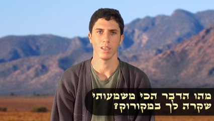 מקורוק 2015 | עודד רבי