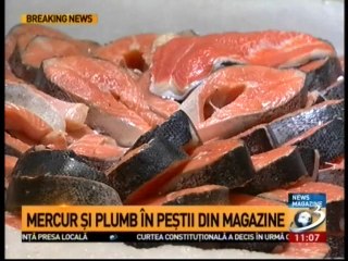 PESTE TOXIC IN MAGAZINE - Somonul norvegian de crescatorie si Pangasius