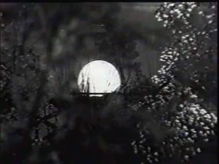 NOOR JAHAN - JI KARDA AYE - BANDEY DA PUTTAR