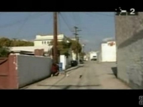 Monsters in the Parasol