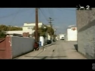 Monsters in the Parasol