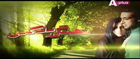 Bheegi palkhain episode 21 A Plus 1st April 2016