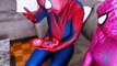 Spiderman & Frozen Elsa! Spiderman Pregnant! w/ Pink Spidergirl! Superhero Fun in Real Life :)