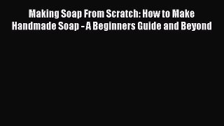 Download Making Soap From Scratch: How to Make Handmade Soap - A Beginners Guide and Beyond