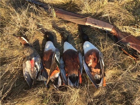 Охота на водоплавающую дичь. Охота в Якутии