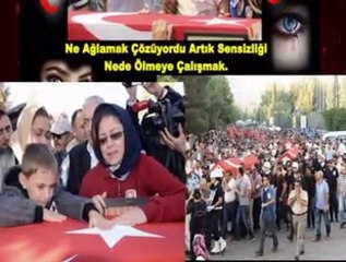 Erkan Oğur SEN- SEVEN ÖLDÜ GEL GEL..