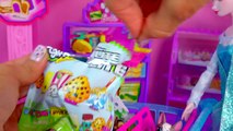 Disney Frozen Queen Elsa Doll Shops for Shopkins Season 3, Minecraft, Fashems Blind Bags