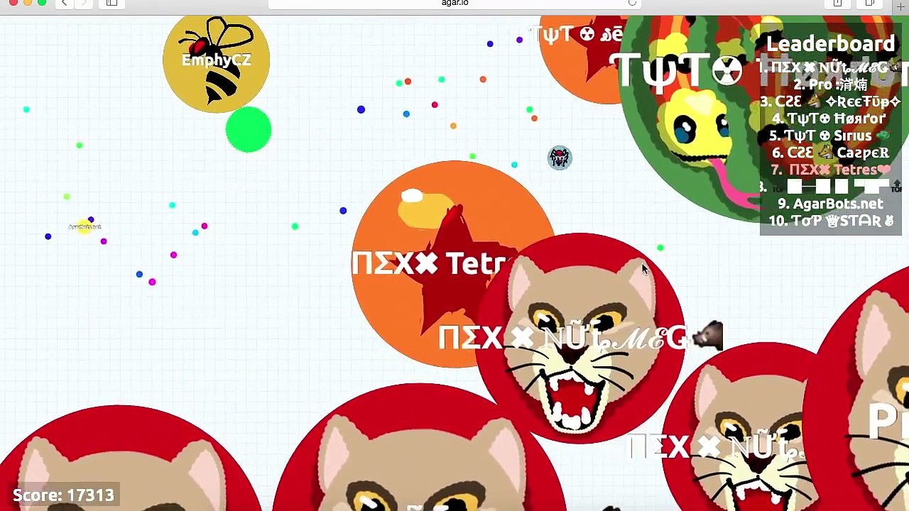 Agar.io Team gameplay (20k) MLG 20k