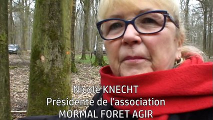 Rendez vous dans l'arborétum avec "Mormal Forêt Agir"