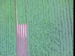 polyclub avec telephone portable