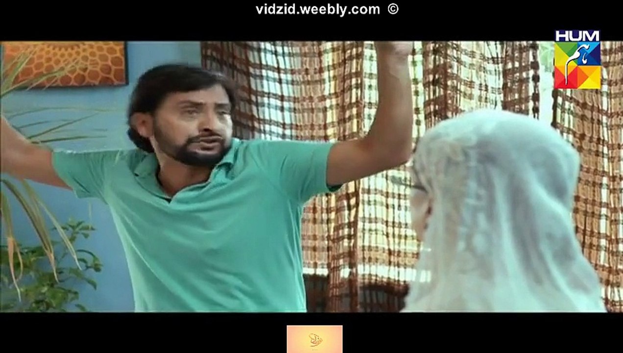 Gul e Rana Hum Tv Drama Episode 4 Full (28 November 2015)