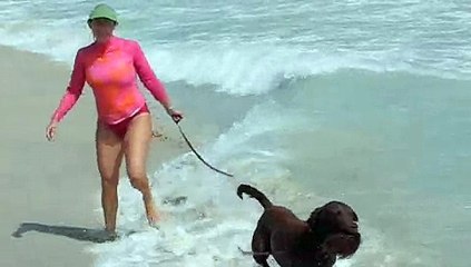 Coco-nuts at the Beach