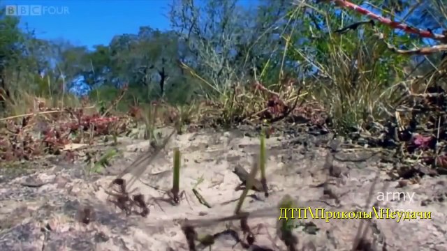 #12 Приколы и неудачи 2016 FAIL Compilation Ржака Угар