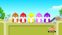 Five Little Birds -Children Nursery Rhyme -Children Song-Educational Songs