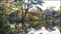 東京都港区のパワースポット（イヤシロチ）　有栖川宮記念公園
