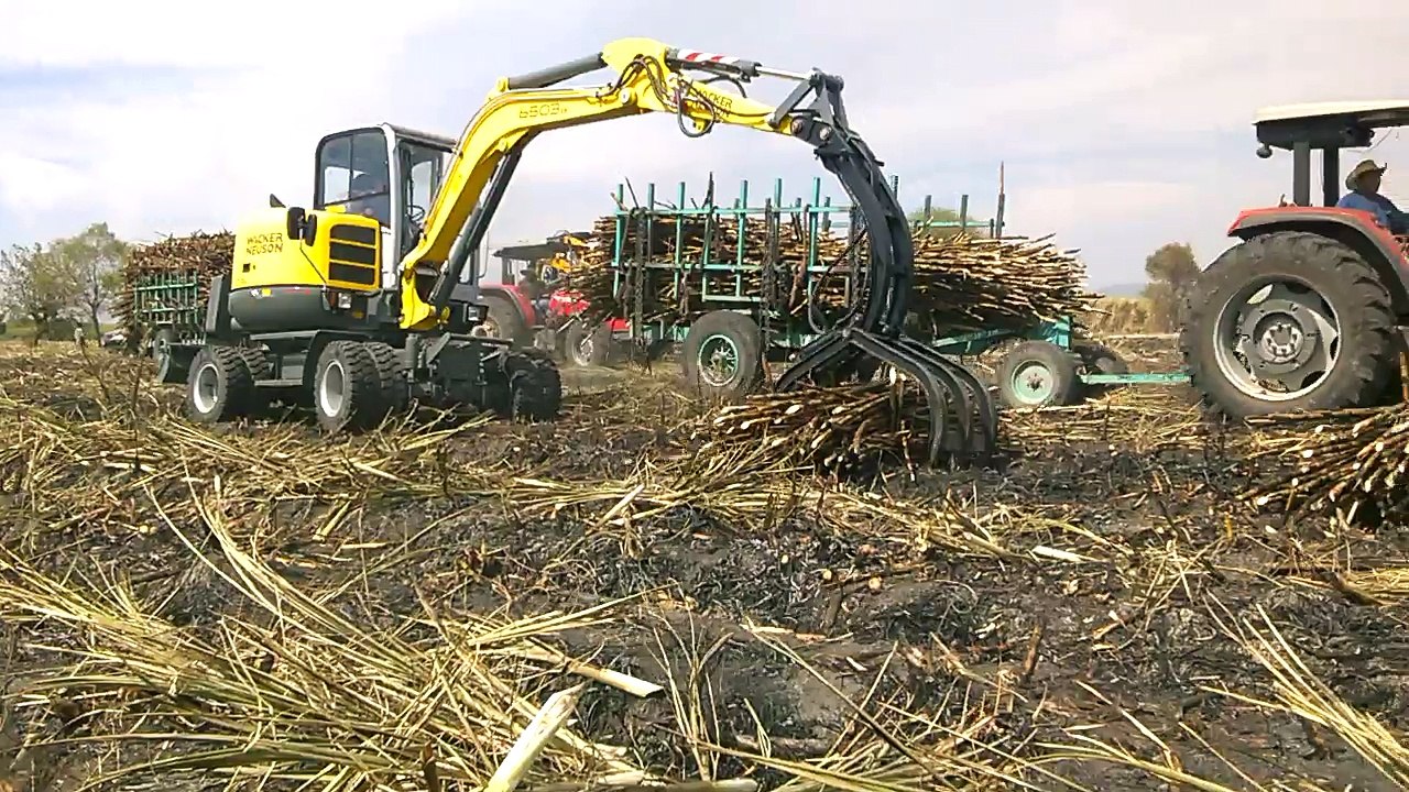 Wacker Neuson 6503