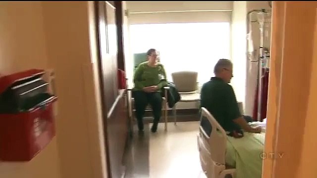 Des chiens rendent visite à leurs maîtres hospitalisés