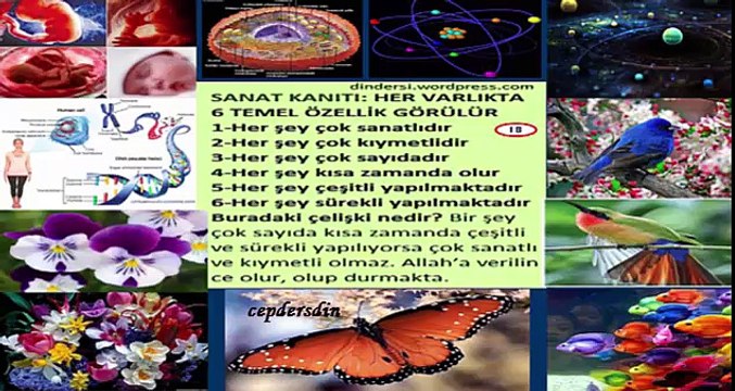 11.Sınıf 7.Ünite 1-İslam Sanat Estetik - Sesli anlatım - dindersi.wordpress