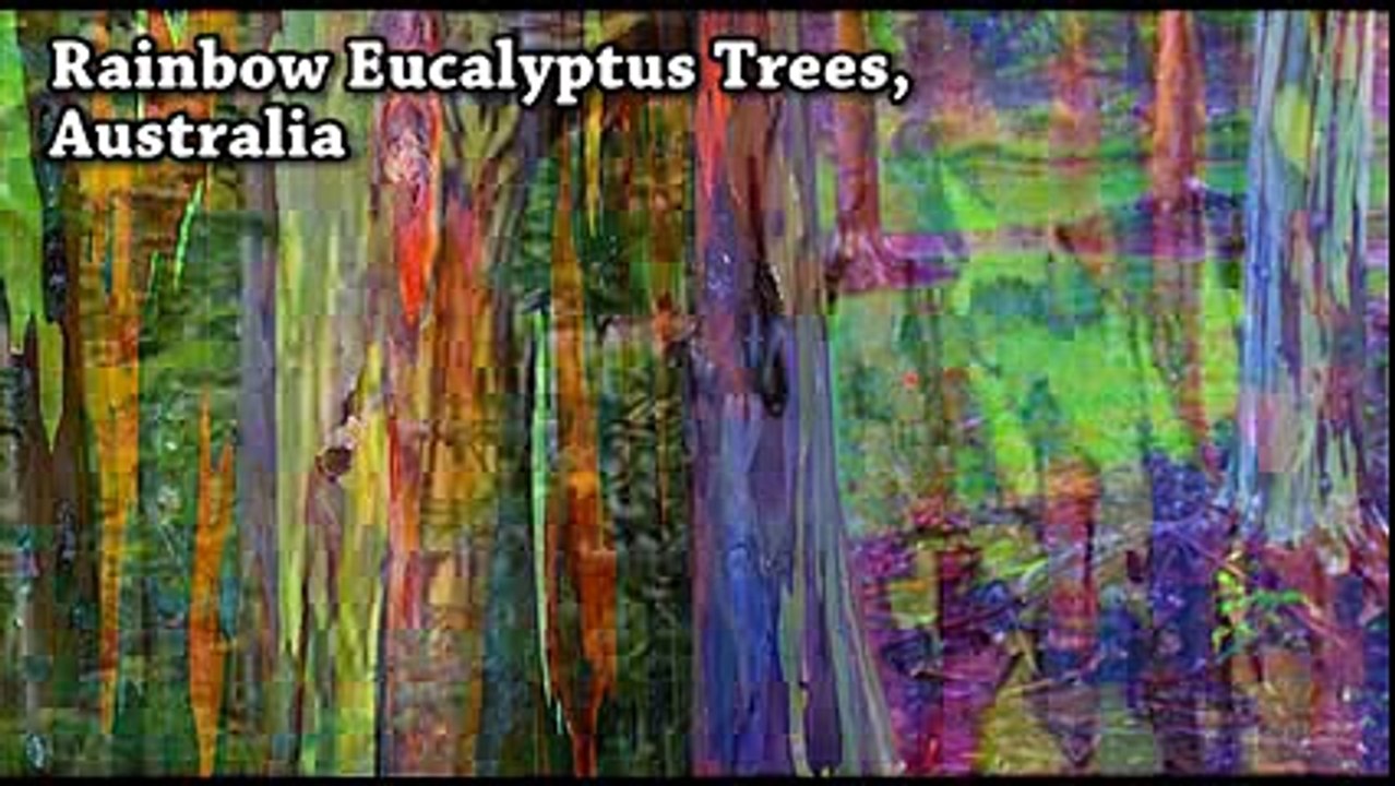 200  Amazing things in just 10 mins--Amazing Videos