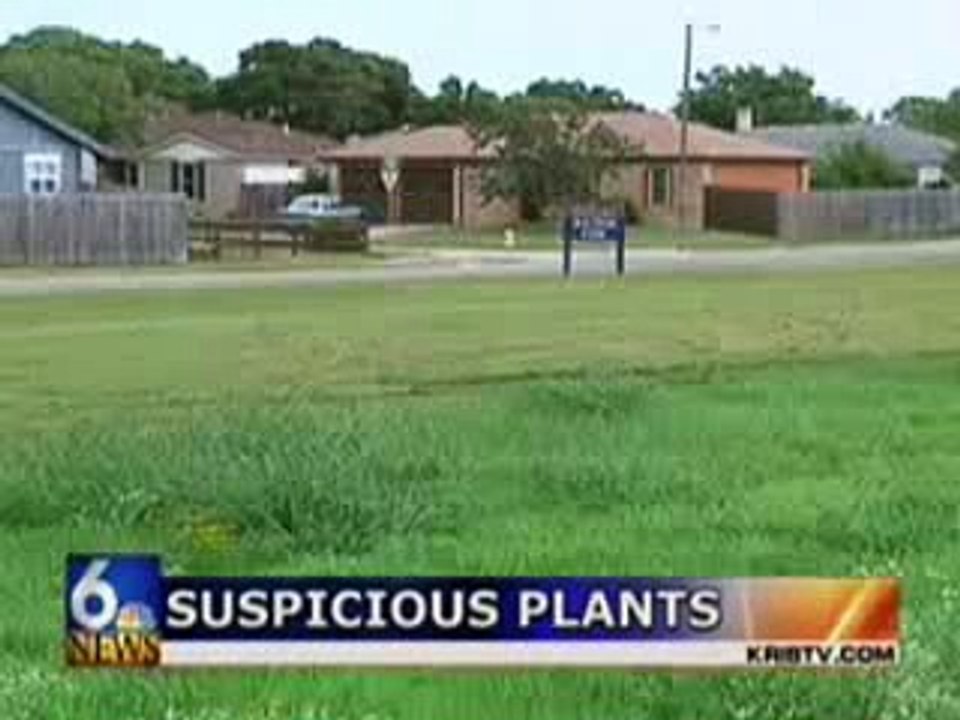Epic Pot Bust Fail