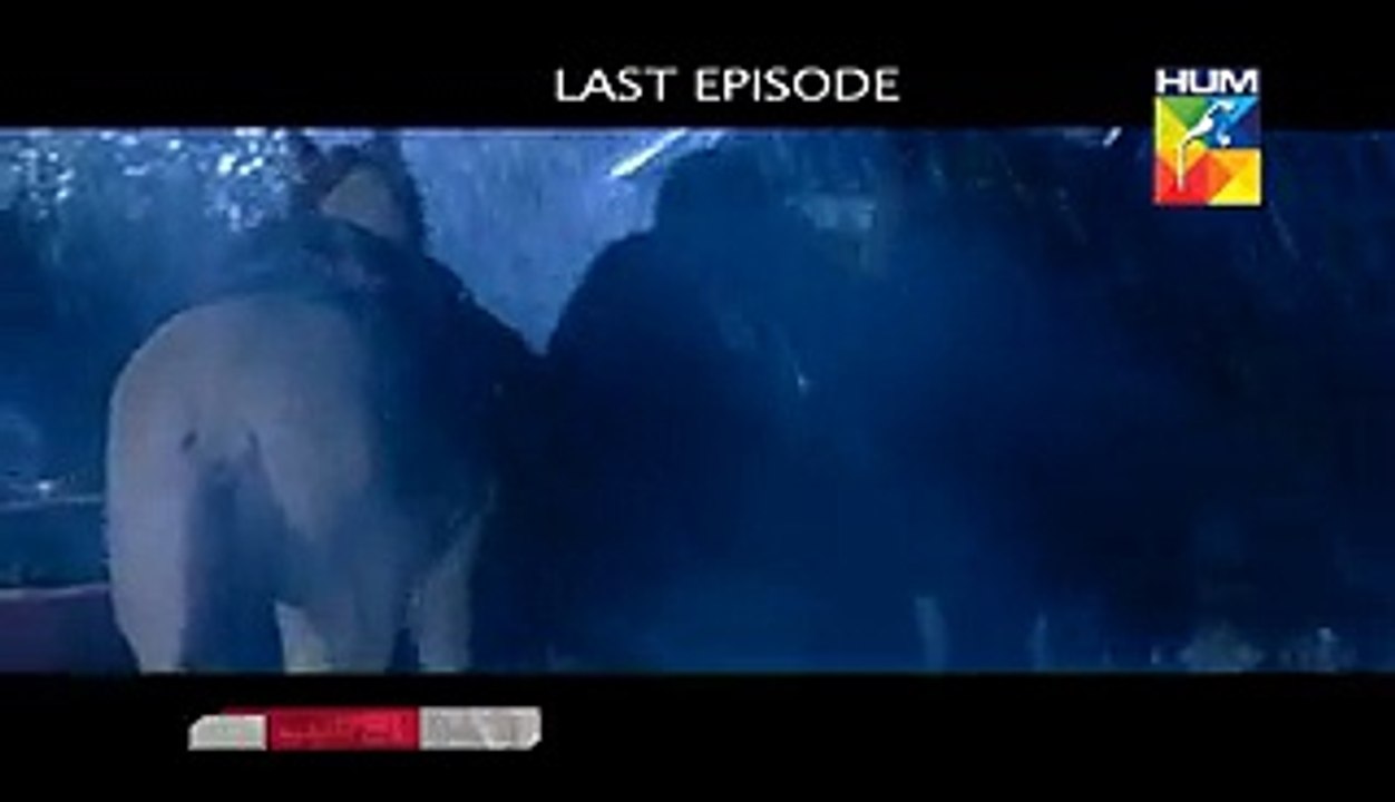 Gul e Rana Last Episode 21 - Hum TV Dramas