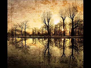 Jo Maine Aas Lagayi, Anwar