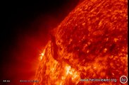 Solar flare - Beautiful filament eruption near AR 1665 - NASA images of Jan 31, 2013 - Video Vax