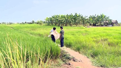 Liveshow NSƯT Hoài Linh 2016 - P1 - Đời Bạc Lắm, Kệ, Cười Trước Đã - Hành Trình Mưu Sinh Của Cu Đực